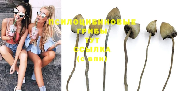 индика Абинск