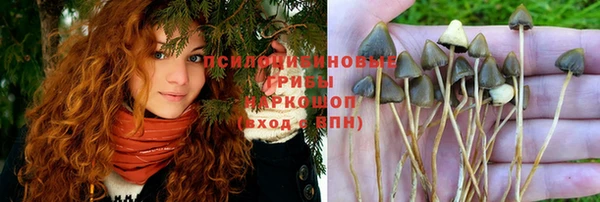 дурь Алексин