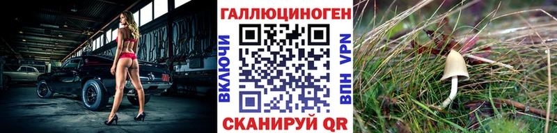 MEGA зеркало  Дербент  Псилоцибиновые грибы ЛСД 